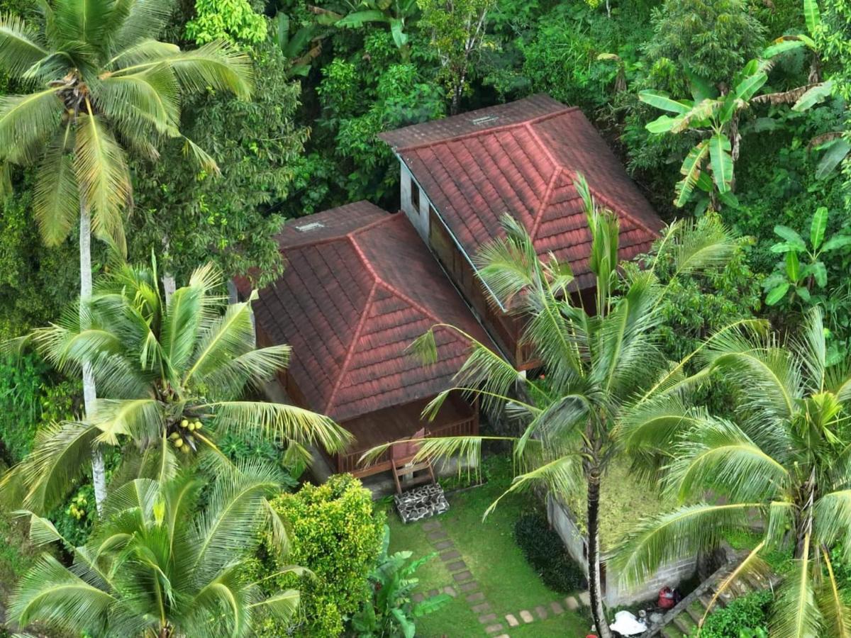 Uma D'Nyuh Homestay Singaraja Zewnętrze zdjęcie