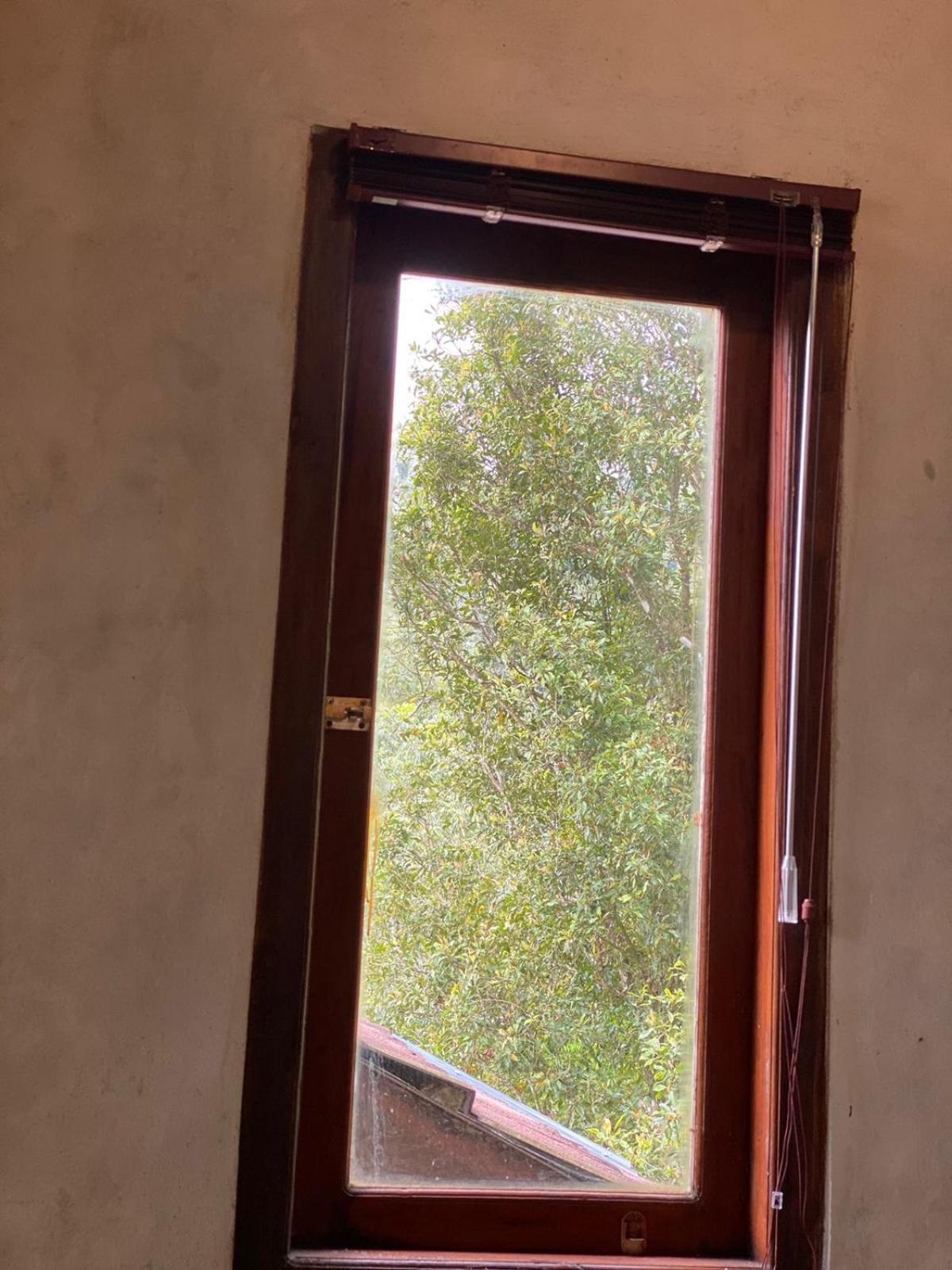 Uma D'Nyuh Homestay Singaraja Zewnętrze zdjęcie