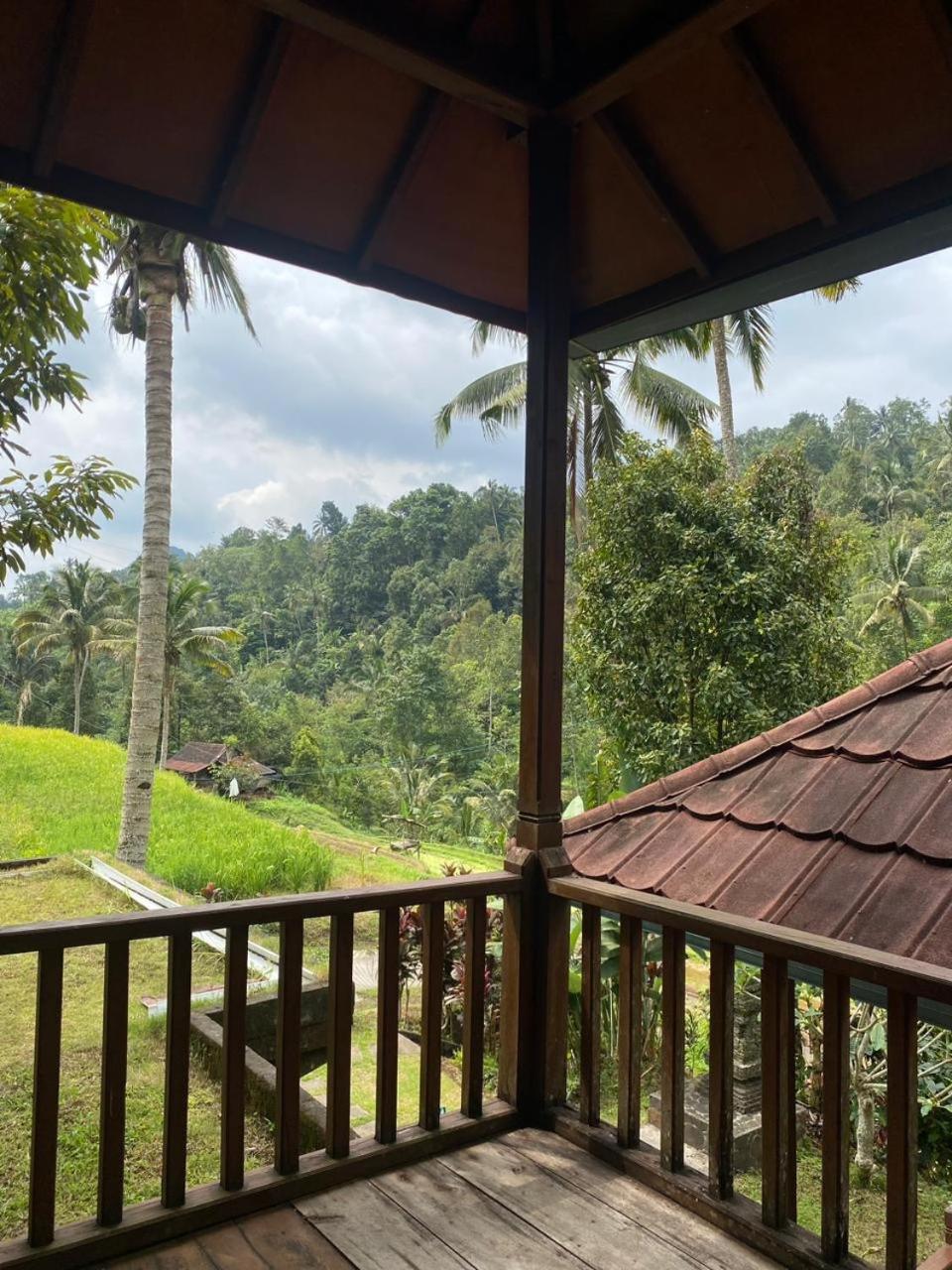 Uma D'Nyuh Homestay Singaraja Zewnętrze zdjęcie