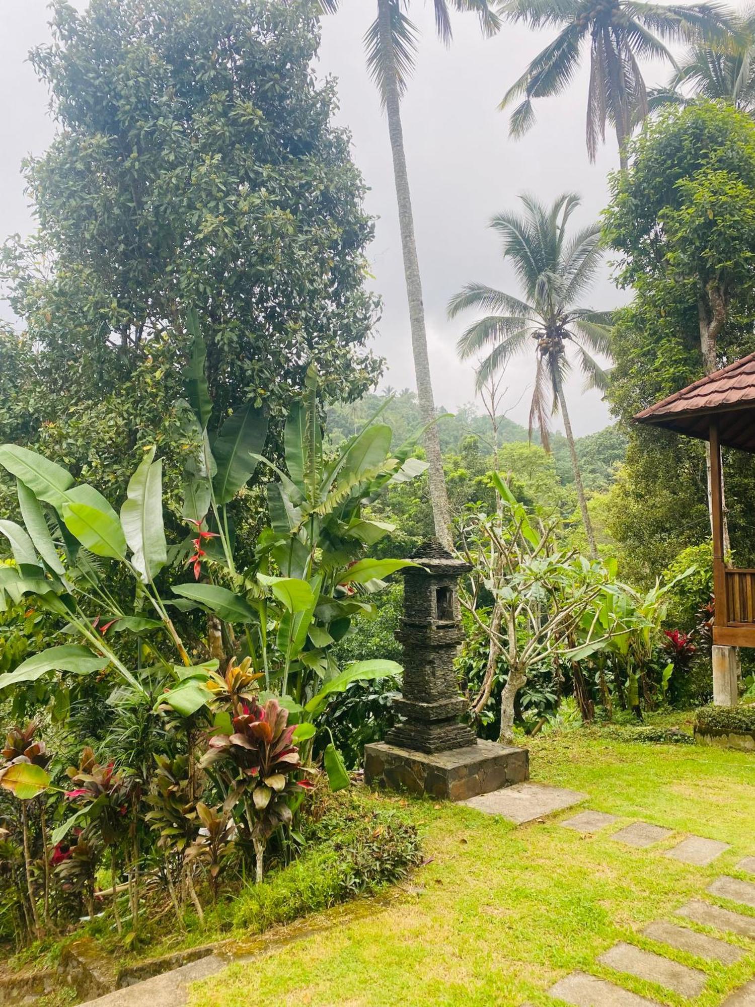 Uma D'Nyuh Homestay Singaraja Zewnętrze zdjęcie